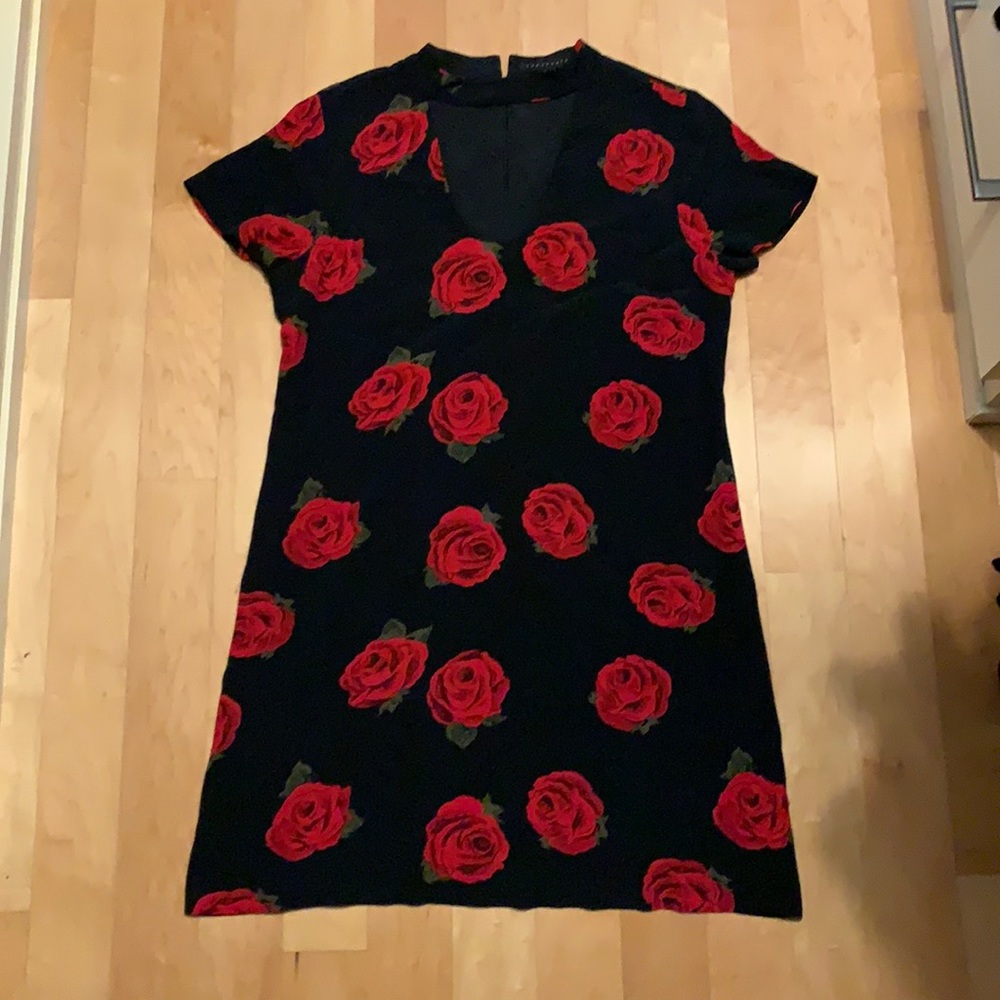 Sanctuary | Rose dress